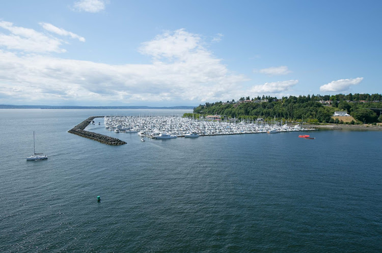 A pretty marina in Seattle's Elliott Bay. 