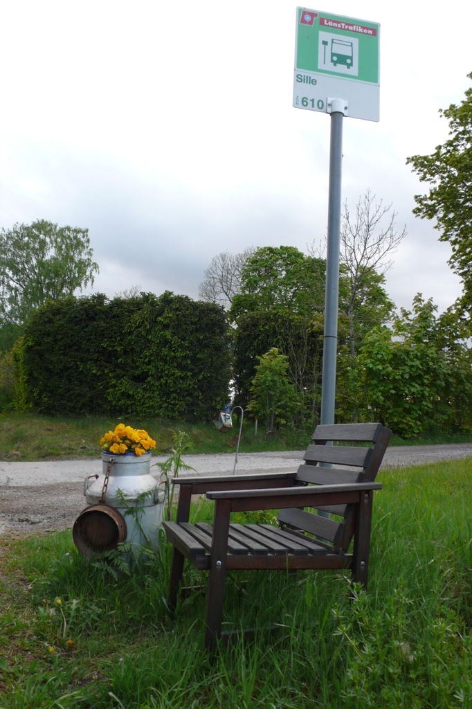 Aspettiamo l'autobus di miciann