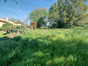 terrain à Roquebrune-sur-Argens (83)