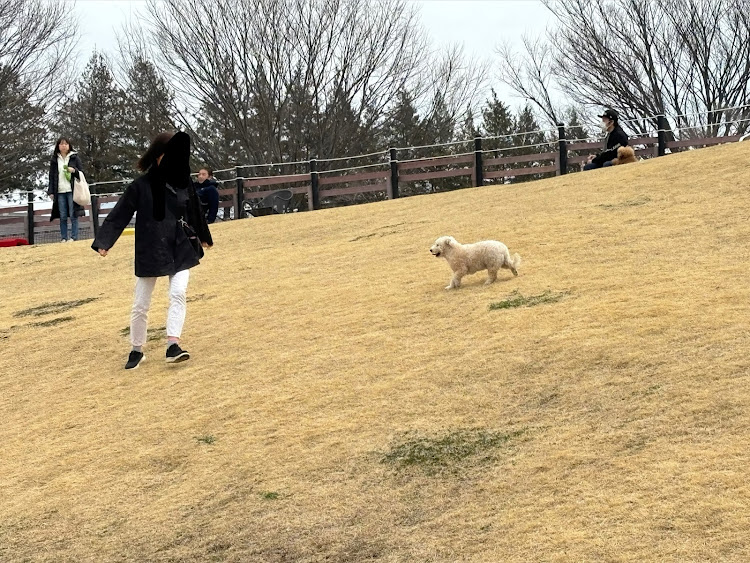 エスクァイアのドライブ・犬とドライブに関するカスタム事例の投稿画像4枚目