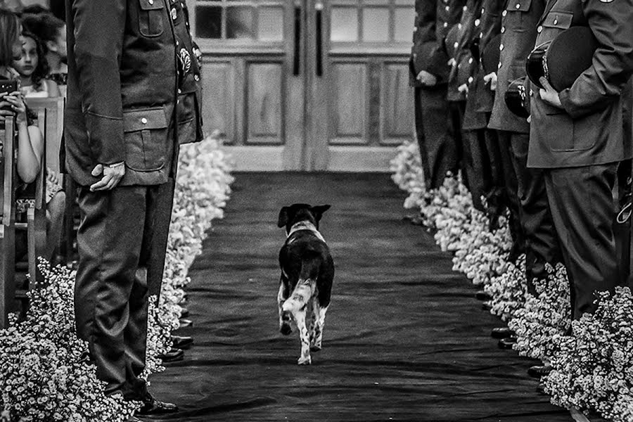 Bröllopsfotograf Fabiano Souza (souza). Foto av 26 juni 2019