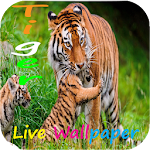 Cover Image of Download Bengal Tiger Live Wallper 1.0 APK