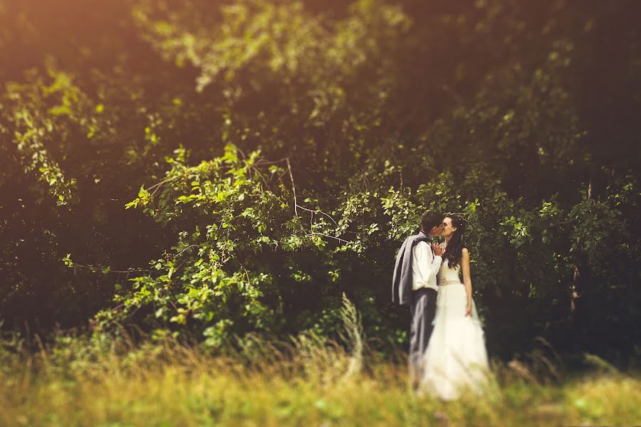 Wedding photographer Denis Shakirov (shot). Photo of 20 April 2014