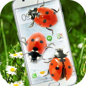 Download Ladybug in Phone Funny joke For PC Windows and Mac