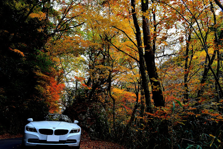 Z4 ロードスターの紅葉・コラボに関するカスタム事例の投稿画像5枚目