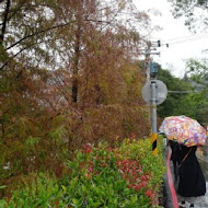 星巴克 陽明山草山門市