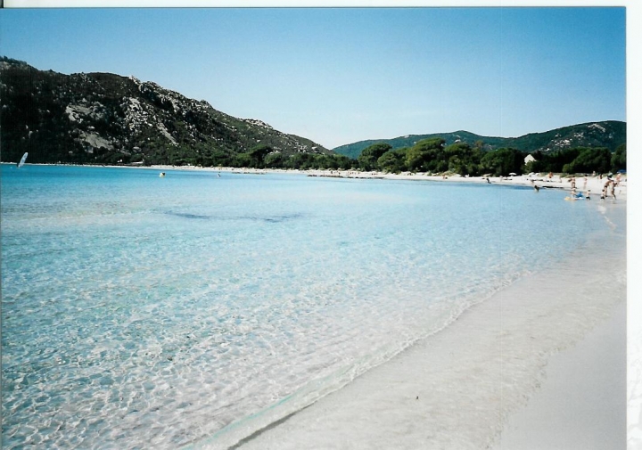 Bianchissima di ildarita