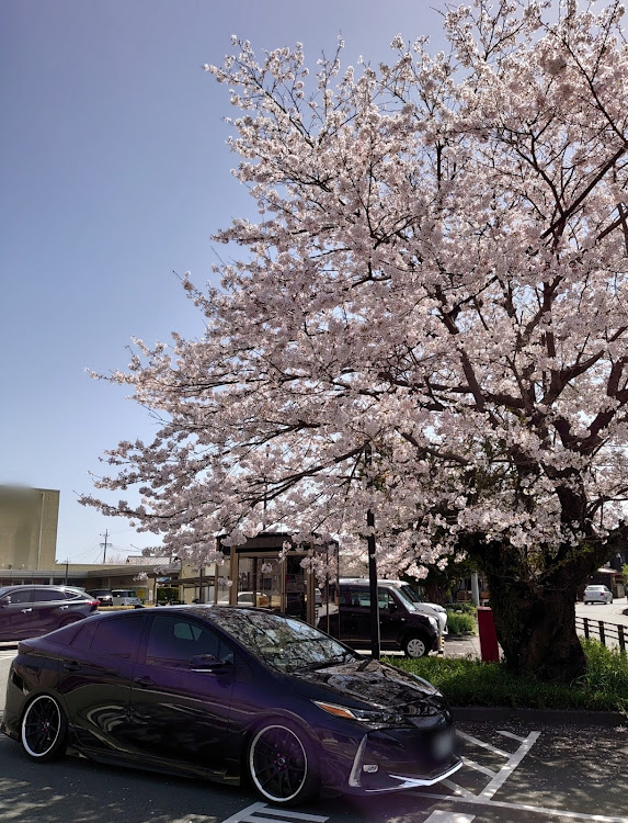 プリウスPHVのMina♡*･ﾟさんが投稿したカスタム事例の投稿画像1枚目