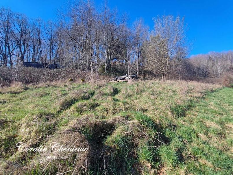 Vente terrain  1728 m² à Ydes (15210), 11 900 €