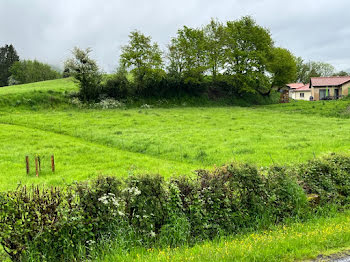 terrain à Polminhac (15)