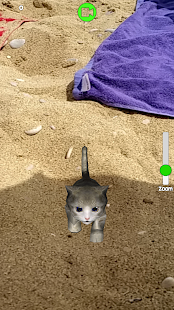 Homeless Cat : take care this virtual pet(圖7)-速報App