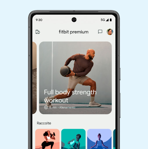 Fitbit Premium workout screen