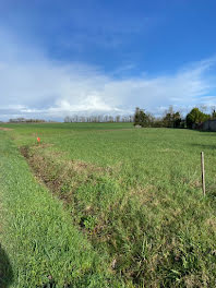 terrain à Douzat (16)