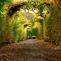 Aspettando l'autunno di 