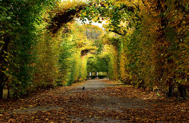 Aspettando l'autunno di FedericaFeffa