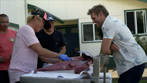 Spearfishing off the Coast of Kona thumbnail