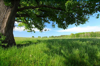 terrain à Martainville-Epreville (76)