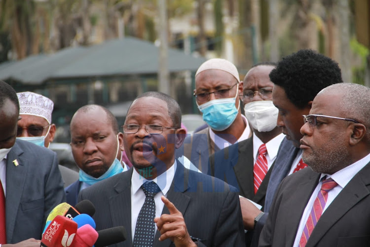 Senators, led by Kilifi's Stewart Madzayo, at Parliament Buildings on July 7. They said they will oppose the revenue sharing formula.