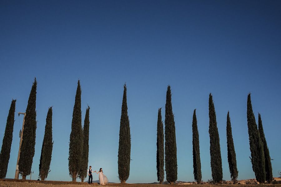 Wedding photographer Anna Kozdurova (chertopoloh). Photo of 12 February 2021