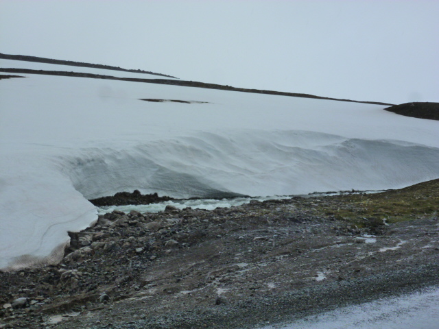 Fiordos del Este. Ribera del Lagarfljot.Camino a Höfn - SORPRENDENTE ISLANDIA (1)