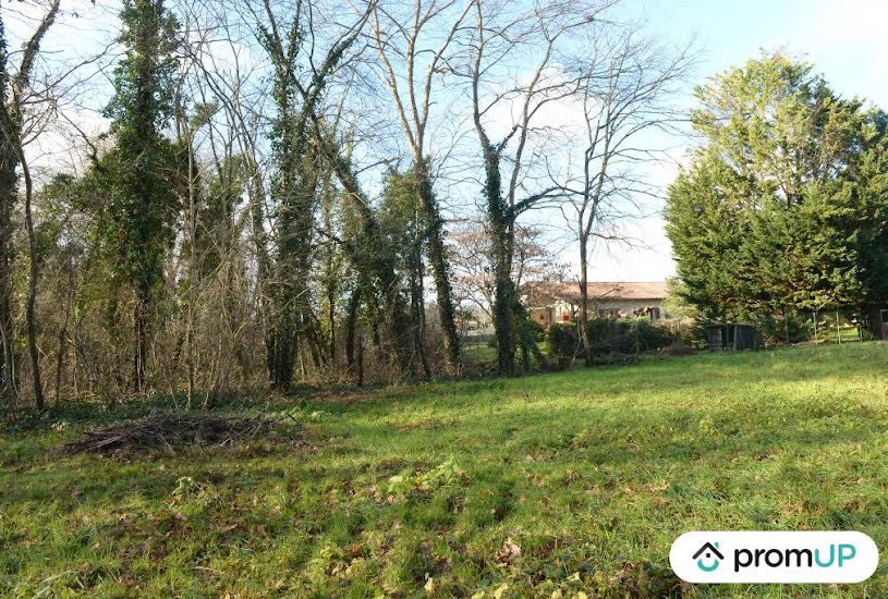  Vente Terrain à bâtir - 2 518m² à Sauternes (33210) 