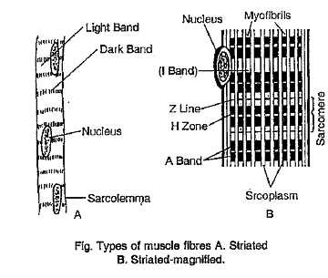 Solution Image