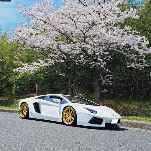 lambo_plus(ラプラス)のプロフィール画像