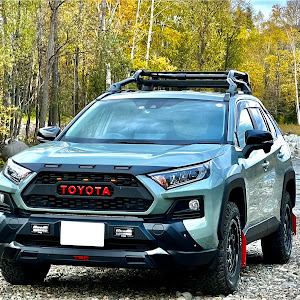 RAV4 MXAA54