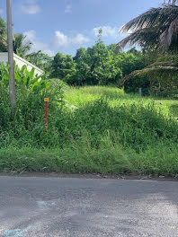 terrain à Morne a l'eau (971)