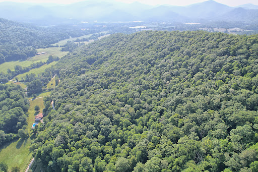 Terrain 4
