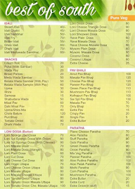 Best Of South Pure Veg menu 2