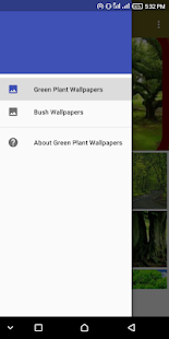 Green Plant Wallpapers(圖1)-速報App