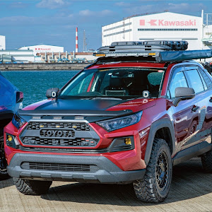 RAV4 MXAA54