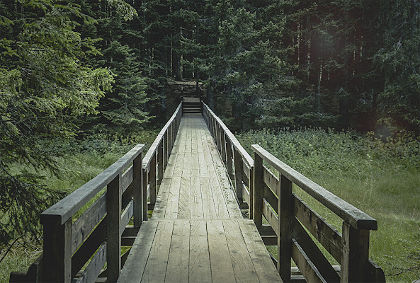 Il coraggio di fare il primo passo. di gina_todisco