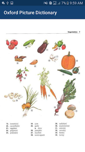 Oxford Picture Dictionary offline book app 2020