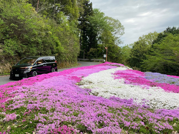 の投稿画像8枚目