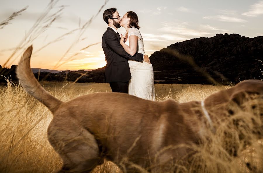 Fotografo di matrimoni Raul Santano (santano). Foto del 23 ottobre 2016