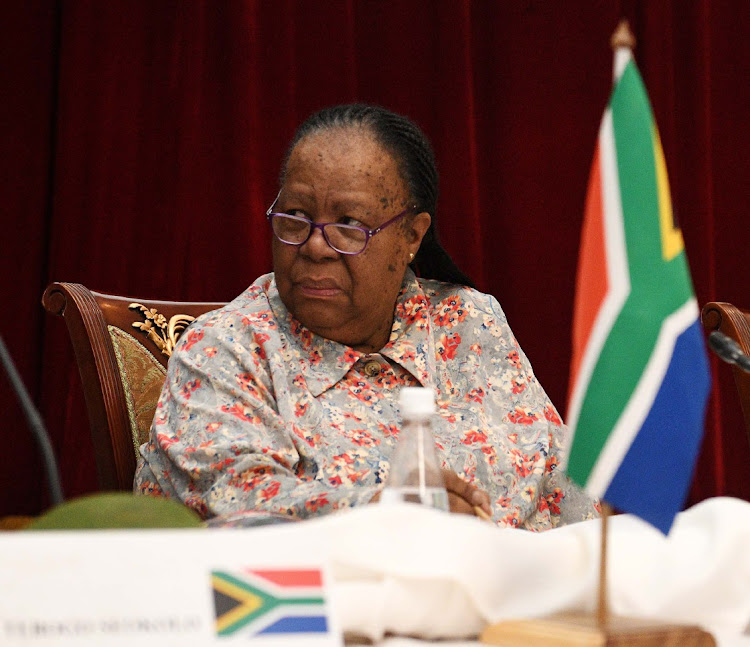 International relations and co-operation minister Naledi Pandor will attend the International Court of Justice sitting in the Hague on Friday. File photo.