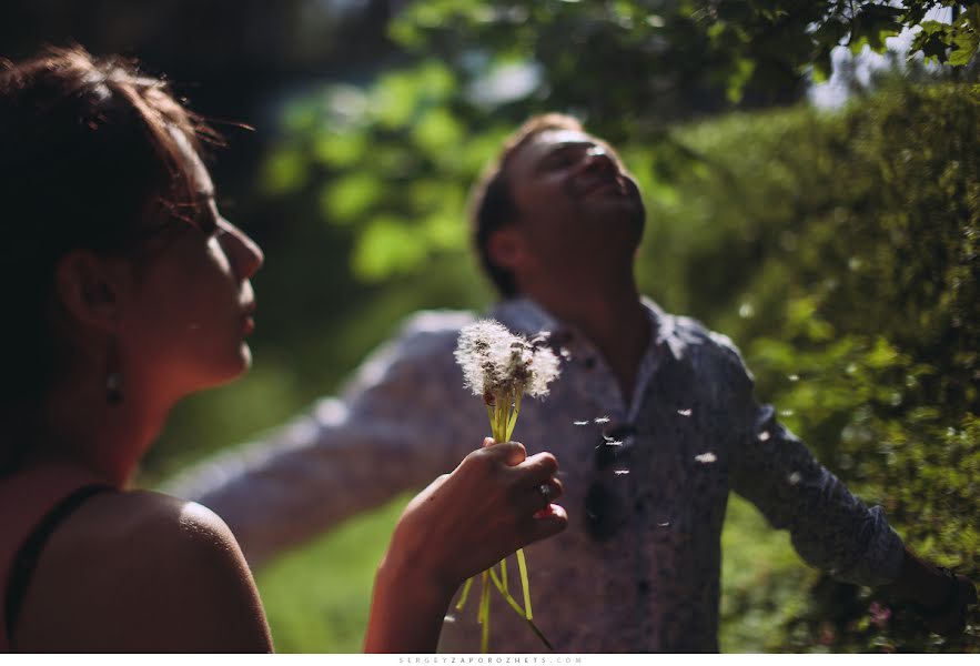 結婚式の写真家Sergey Zaporozhec (zaporozhets)。2014 6月24日の写真