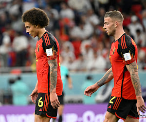 "Une défense Witsel - Alderweireld ?  Ca pourrait le faire"