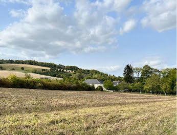 terrain à Souligny (10)