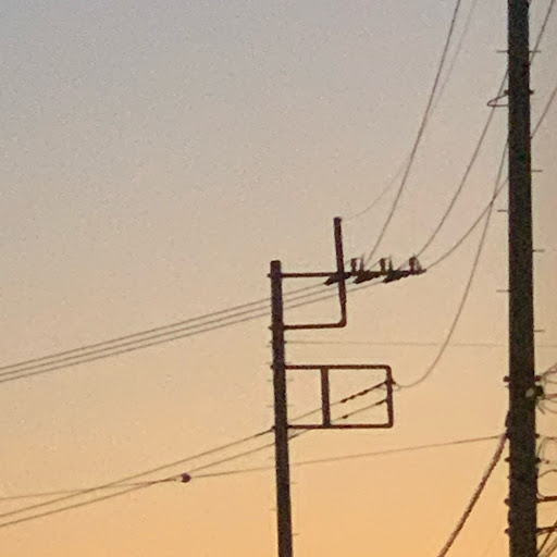 らむね.