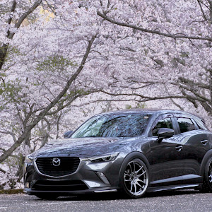 CX-3 DK5FW