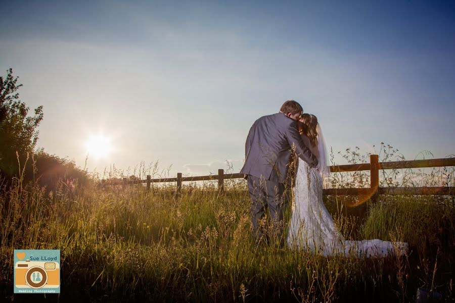 Wedding photographer Sue Lloyd (suelloydphoto). Photo of 1 June 2019