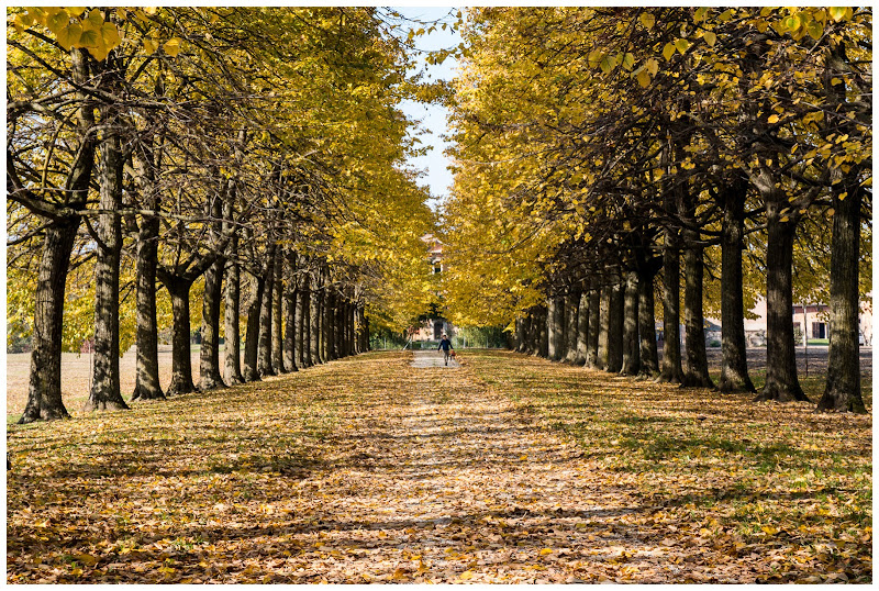 Lungo il viale di E l i s a E n n E