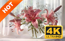 Lily New Tab HD Wallpapers Pop Flowers Theme small promo image