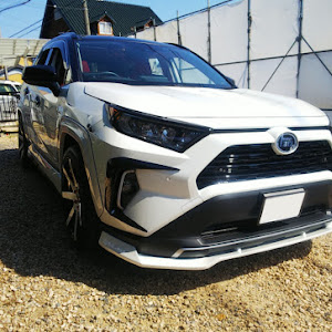 RAV4 MXAA54