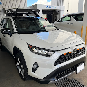 RAV4 MXAA54