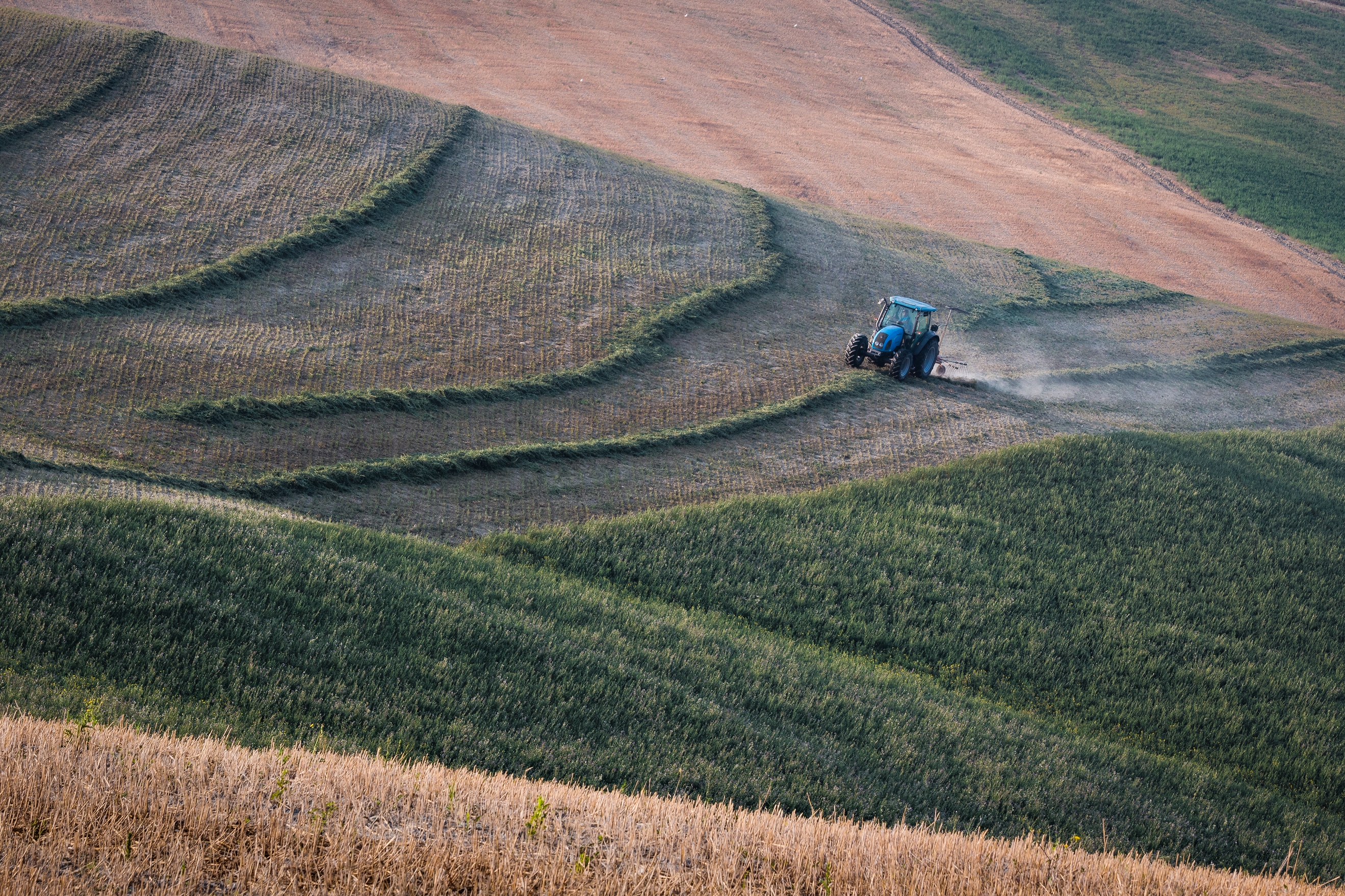 Working in nature di Nico Angeli Photography