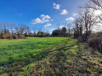 terrain à Le Champ-Saint-Père (85)